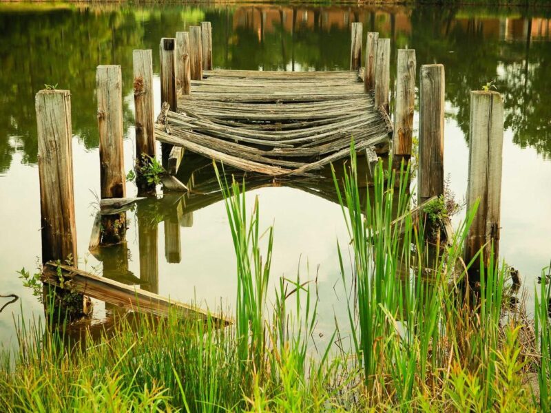 Aspernatur illum neque ab sequi nemo nisi architecto sunt enim eiusmod consectetur inventore